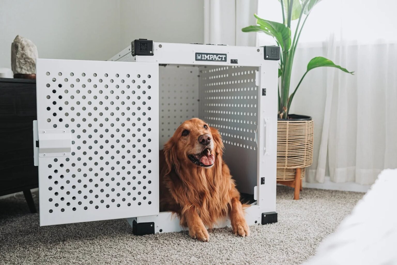 Best Dog Crates for High Anxiety Dogs 2026: 6 Picks