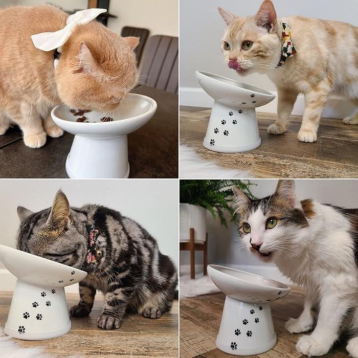 Necoichi Extra Wide Raised Cat Food Bowl