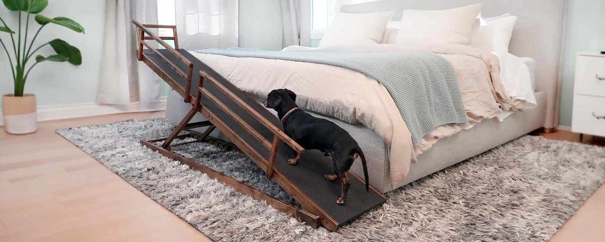 DoggoRamps Small Bed Ramp