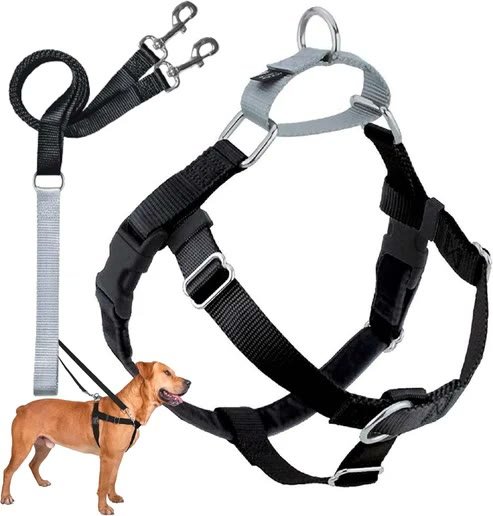 Freedom No-Pull Harness Only (1-inch, Large)