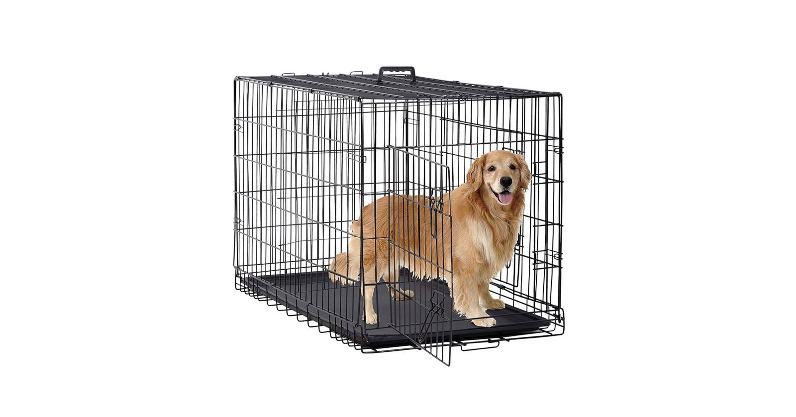BestPet 48 inch Double Door
