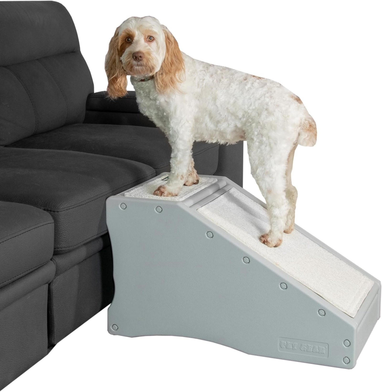 Pet Gear Stramp Stair and Ramp Combo