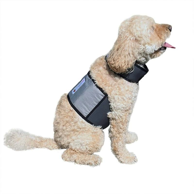 CoolerDog Cooling Vest (Small) — Best hook-and-loop adjustable