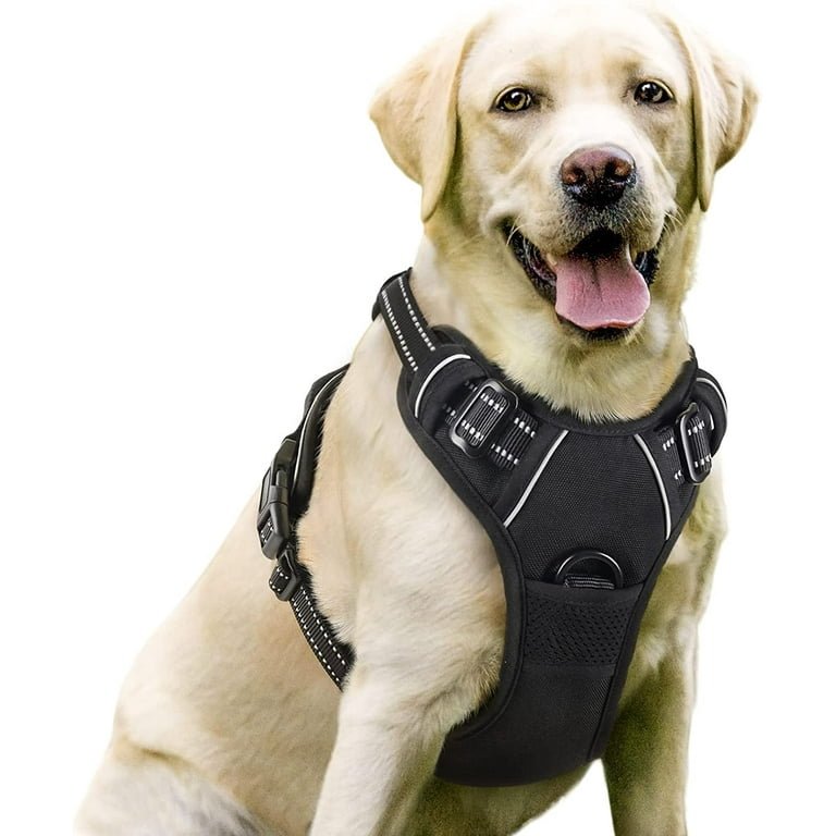 6. Rabbitgoo No-Pull Dog Harness — Best no-pull adjustable