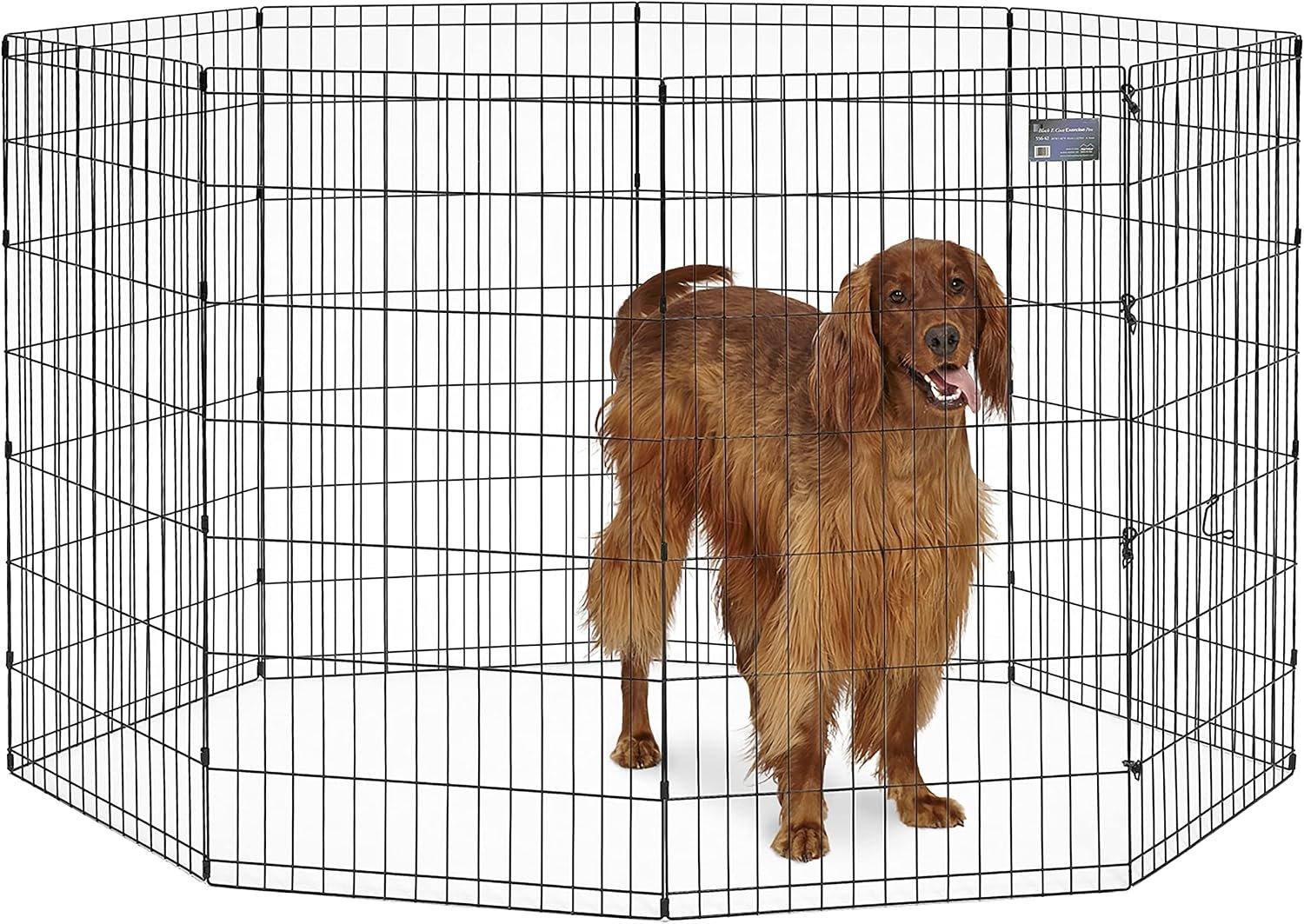 MidWest Homes for Pets Folding Metal Exercise Pen (36″) — Best sturdy adjustable