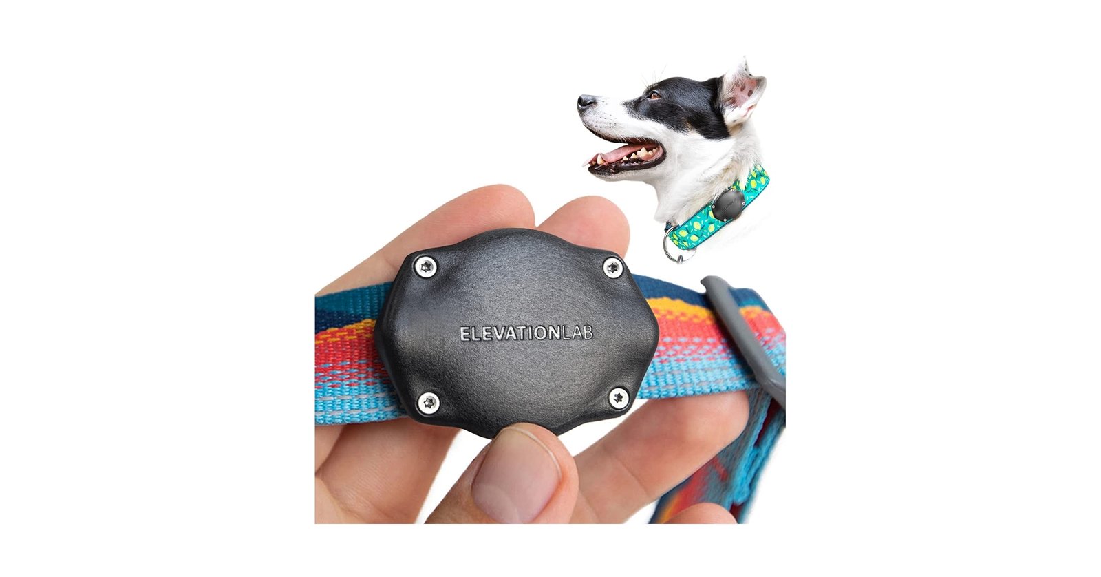 Elevation Lab TagVault Pet AirTag dog collar holder