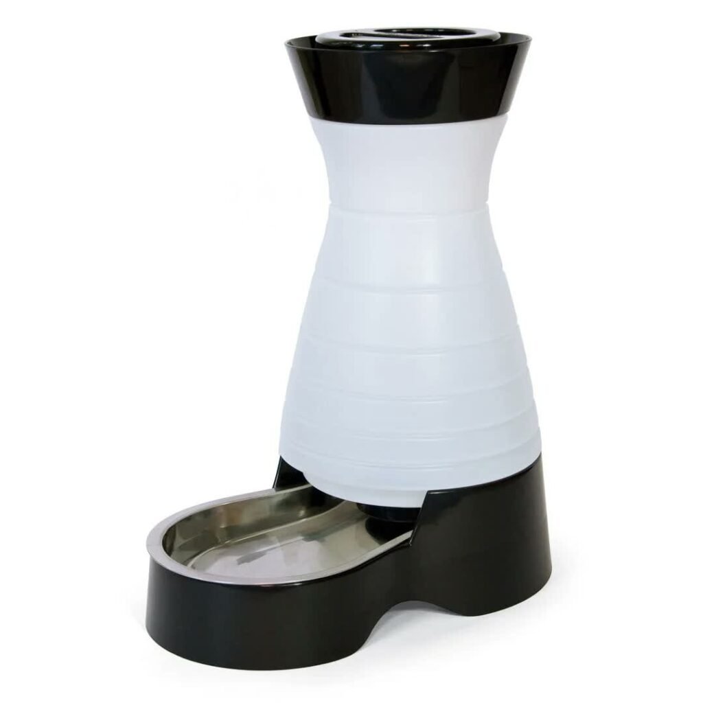 Best Automatic Dog Water Bowl 2026: 6 Picks for Hassle-Free Hydration