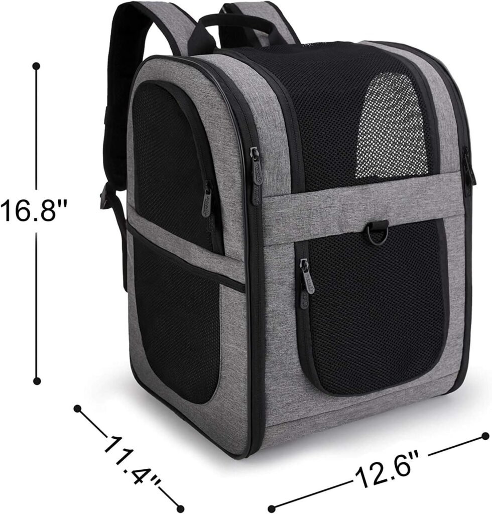 Backpack Carrier for Chihuahua 2026: 6 Packs for Tiny Dogs