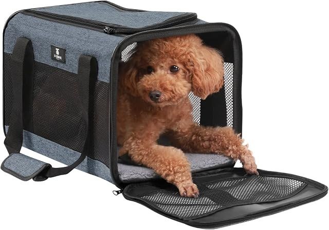 X-ZONE PET Airline Approved Carrier