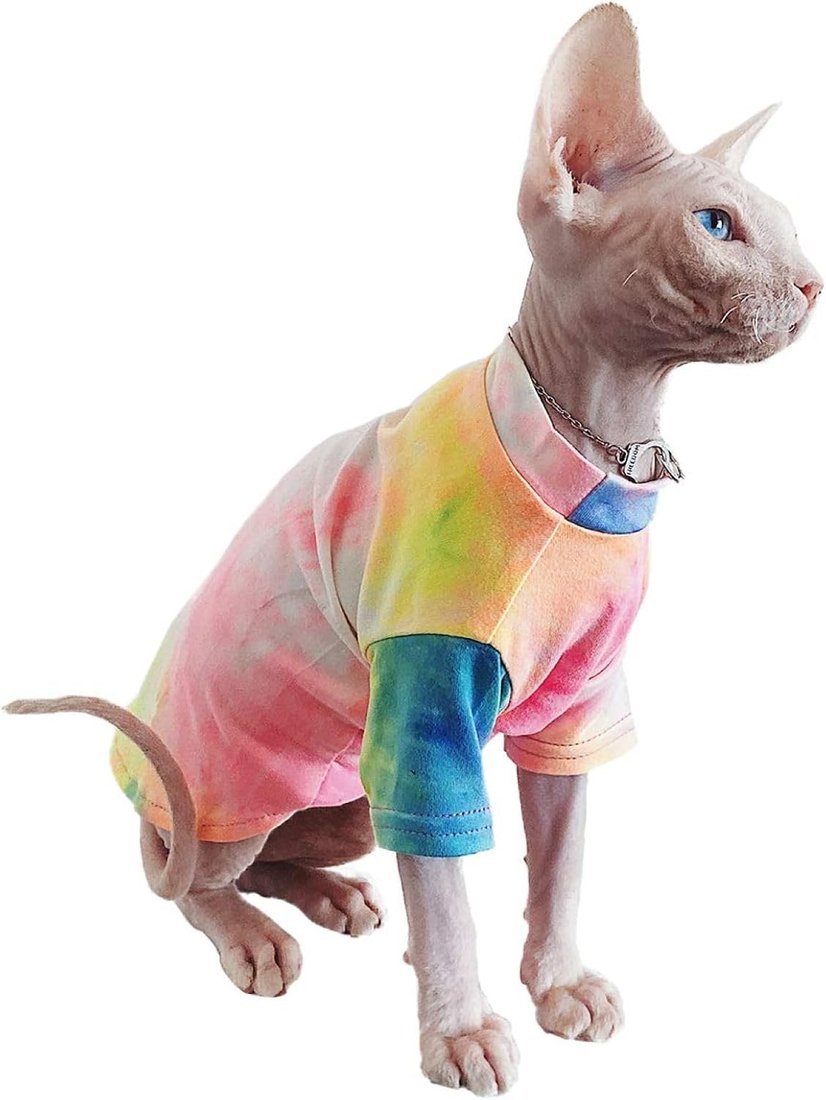 QBLEEV Sphynx Cat T-Shirt