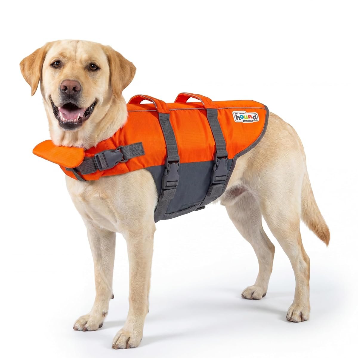 Outward Hound Granby Splash dog life jacket, large, orange