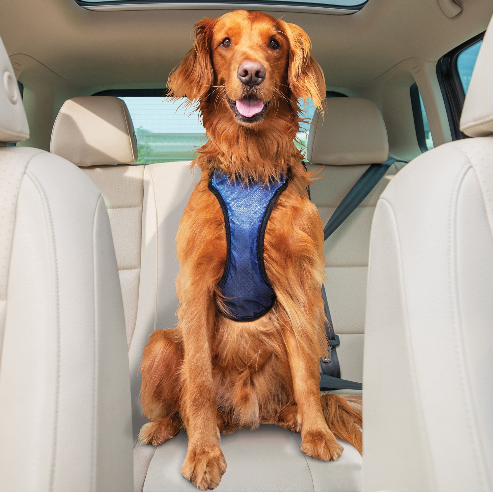 PetSafe Happy Ride dog safety harness