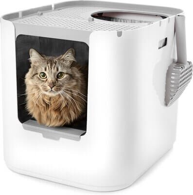3. Modkat XL Litter Box — Best Premium Design