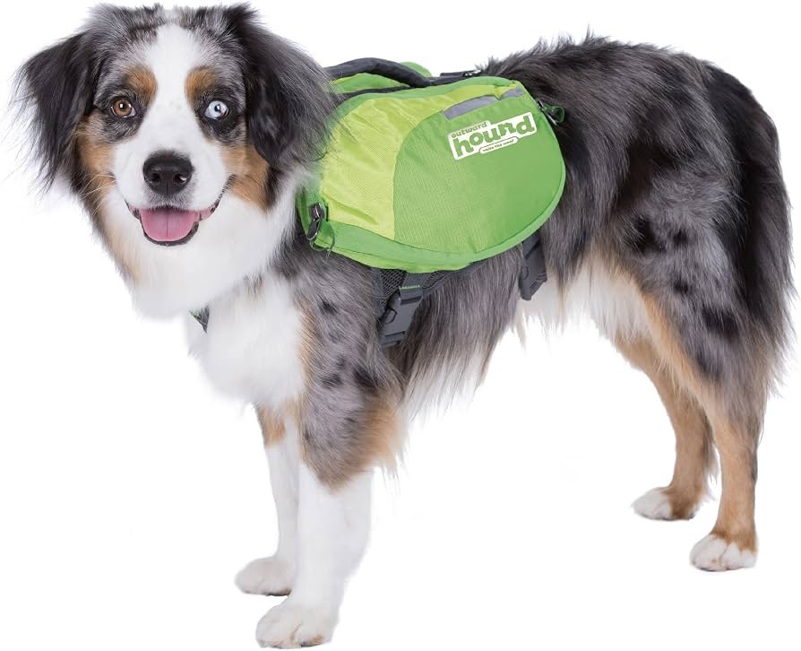 Outward Hound DayPak budget hiking dog backpack