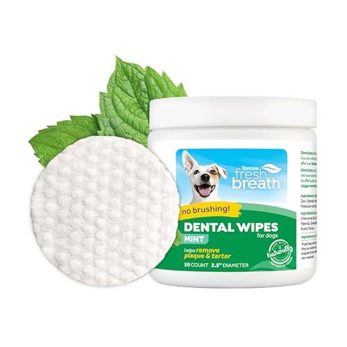 2. TropiClean Fresh Breath Dental Wipes — Best Budget