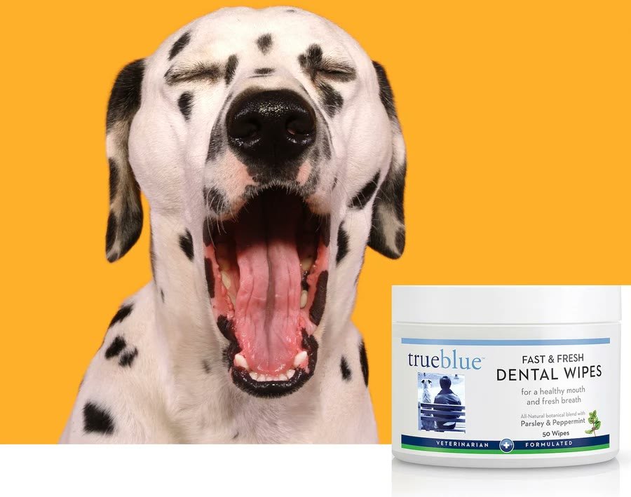 6. TrueBlue Fast & Fresh Dental Wipes — Best All-Natural Botanical