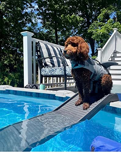 PetStep Pool Ramp (Graphite) — Best Rigid Pool Ramp