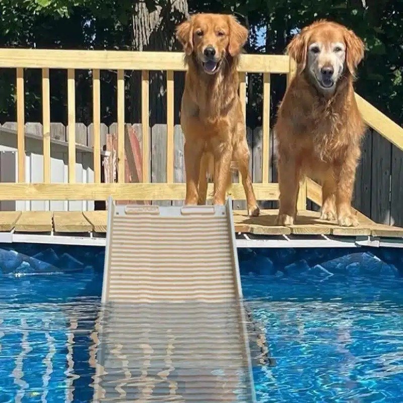 PetStep Pool Ramp (Khaki) — Best Color Alternative