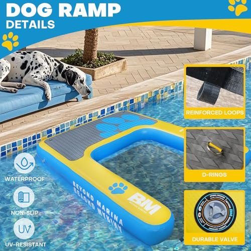 Beyond Marina Dog Pool Ramp — Best Extra-Large