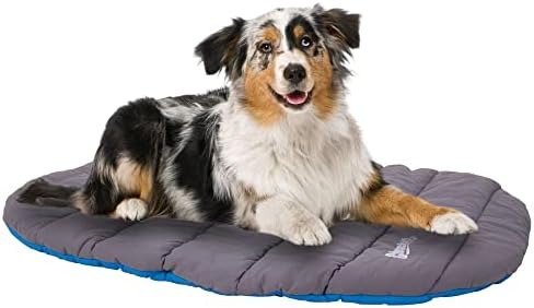 Chuckit travel dog bed, blue and gray