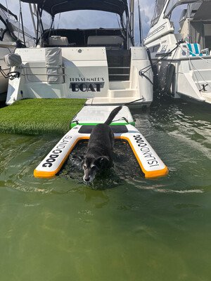 5. Doggydocks Floating Dog Ramp — Best Classic Floating Ramp