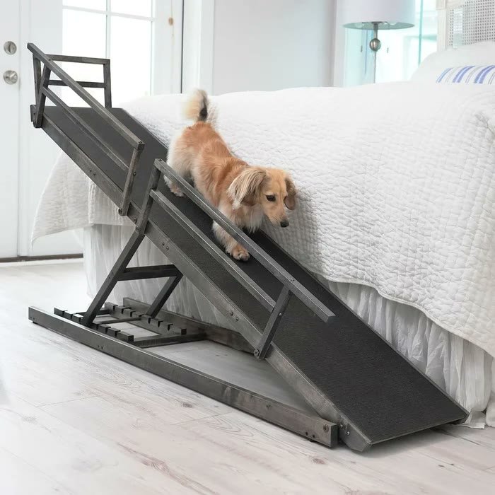 2. DoggoRamps Small Dog Bed Ramp — Best Adjustable for High Beds