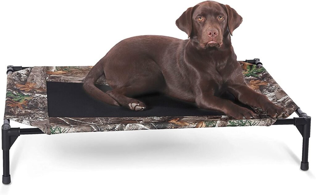 Best Elevated Dog Bed for Camping 2026: 6 Off-Ground Picks