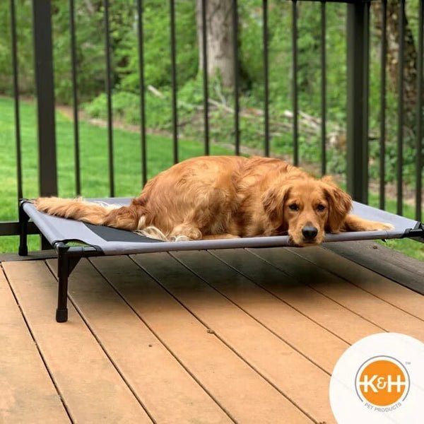 K&H Original Pet Cot (Gray) — Best Neutral Colorway