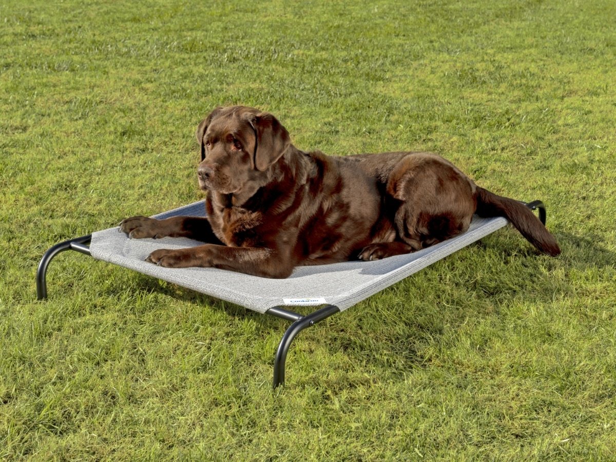 Coolaroo Original Elevated Dog Bed (Large) — Best Classic HDPE Bed