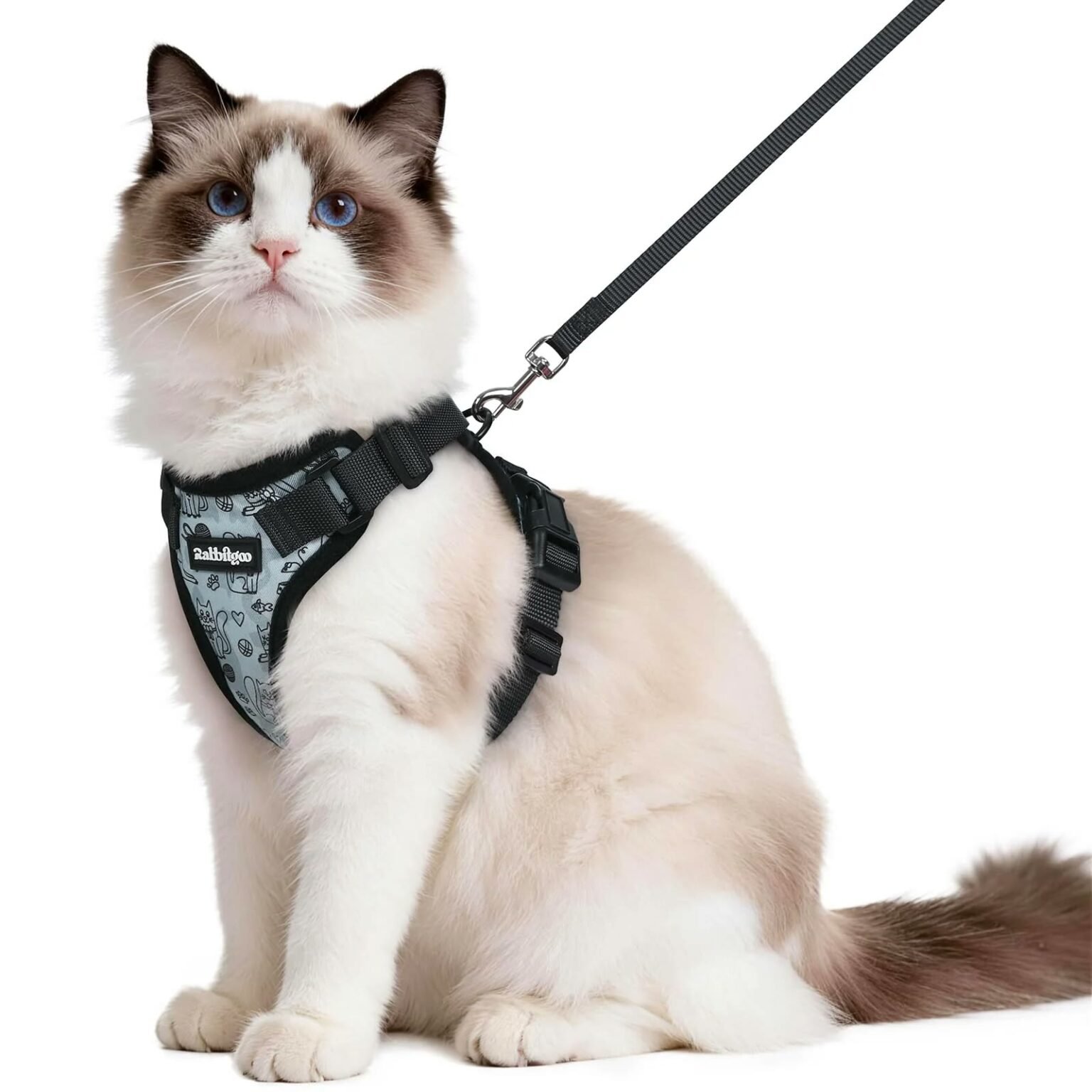Best Escape Proof Cat Harness 2026: 6 Picks for Houdini Cats