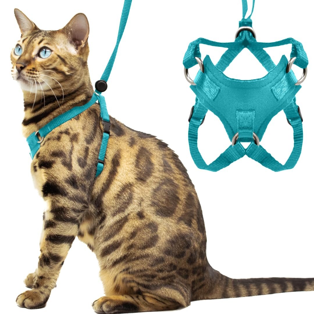 OutdoorBengal Houdini (M)