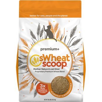 2. sWheat Scoop Premium+ — Best Wheat Litter