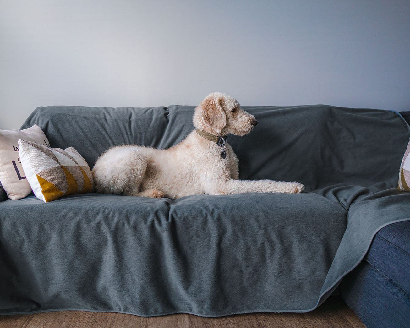 Mambe Waterproof Pet Blanket