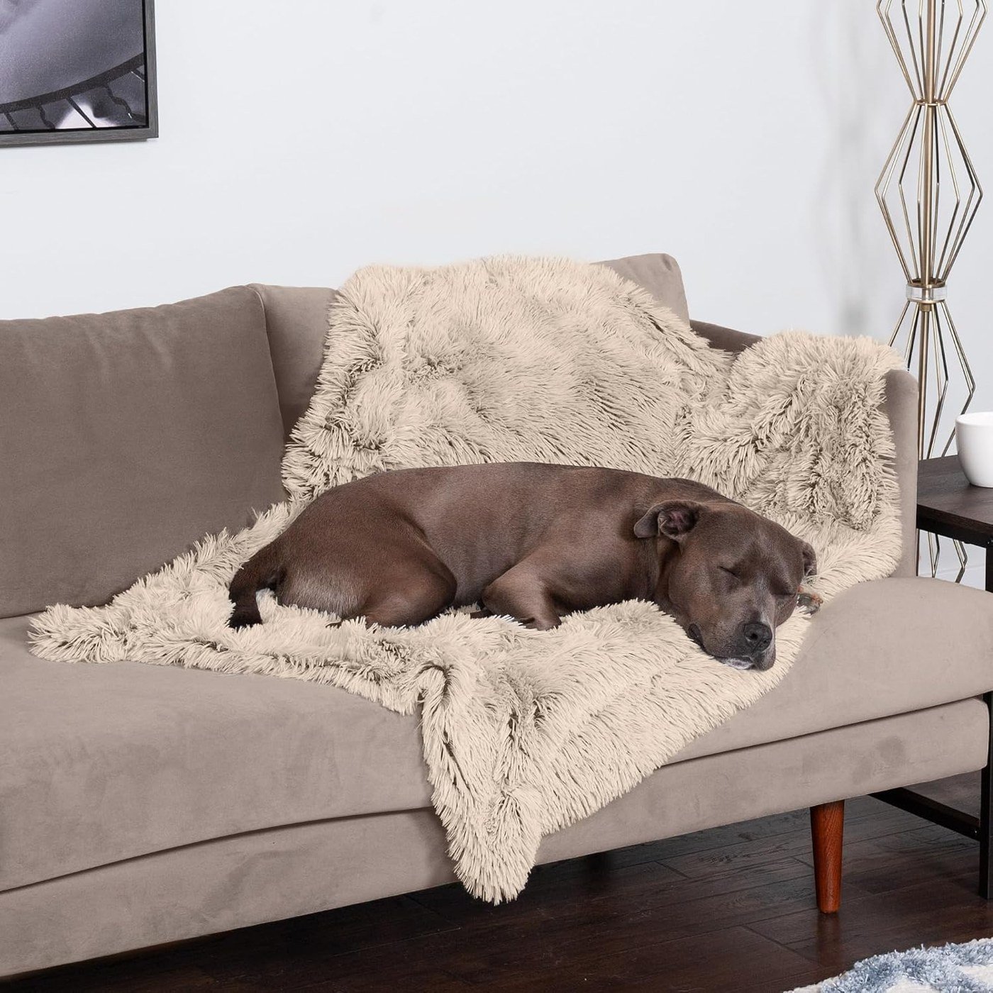 FurHaven Reversible Waterproof Dog Blanket