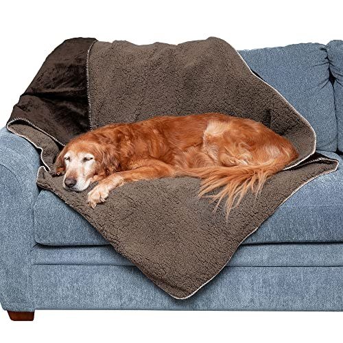 Furhaven Self-Warming Waterproof Dog Blanket