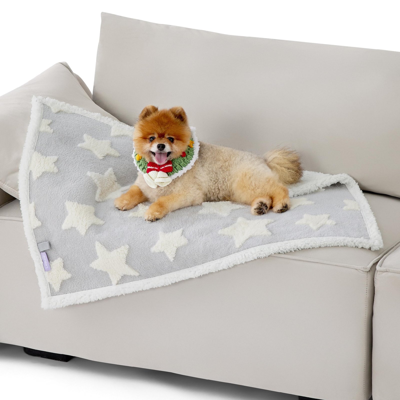 Lesure Waterproof Dog Blanket (Small, 25×35) — Best compact