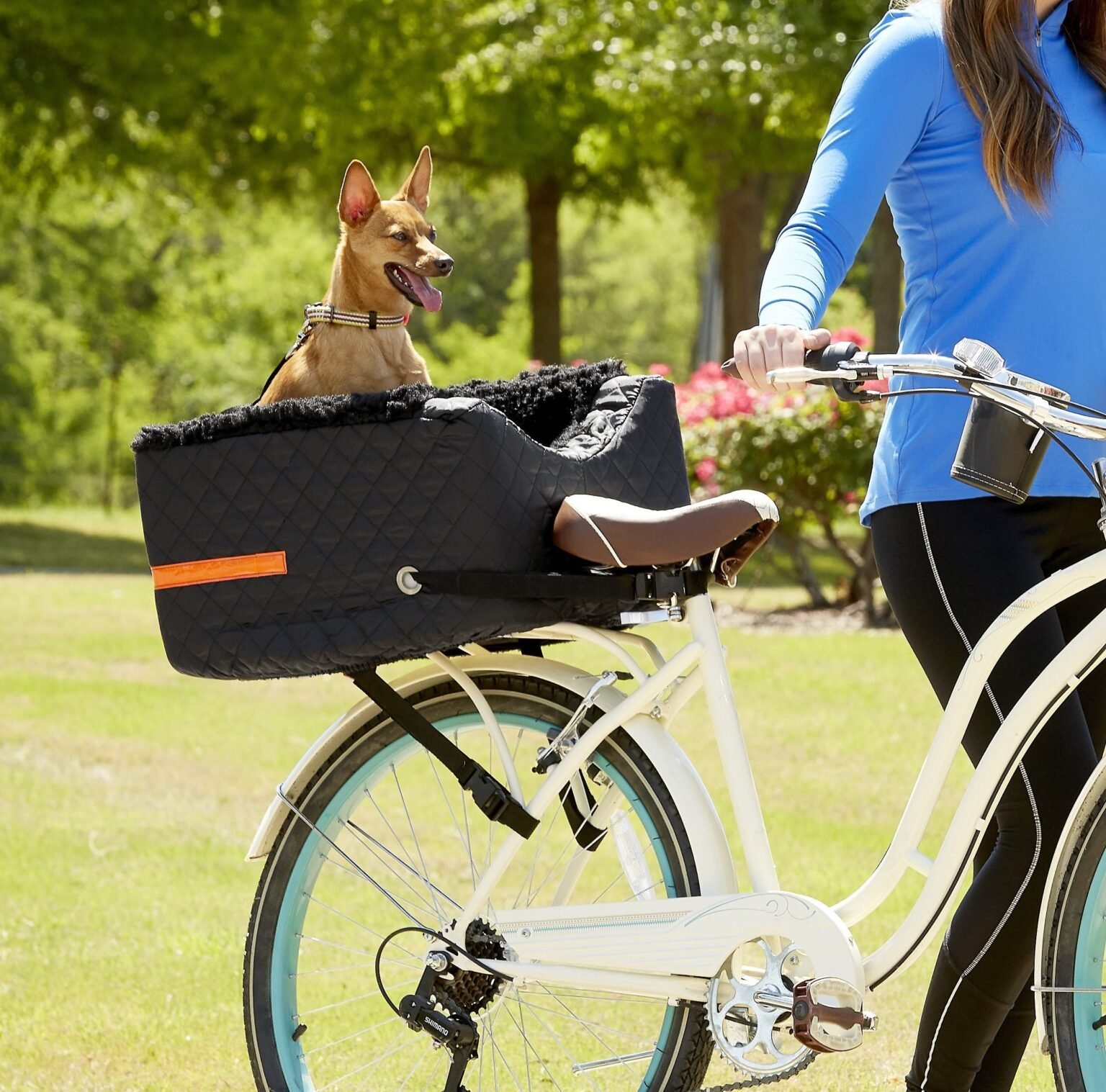 Best Pet Bike Basket 2026: 6 Secure Picks