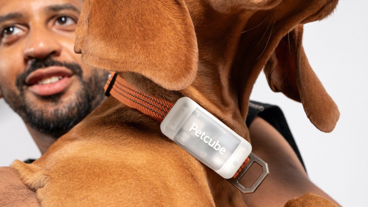 Petcube GPS Tracker (Dogs)