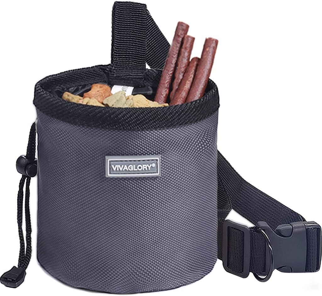 Best Recycled Treat Pouch 2026: 6 Recycled Picks