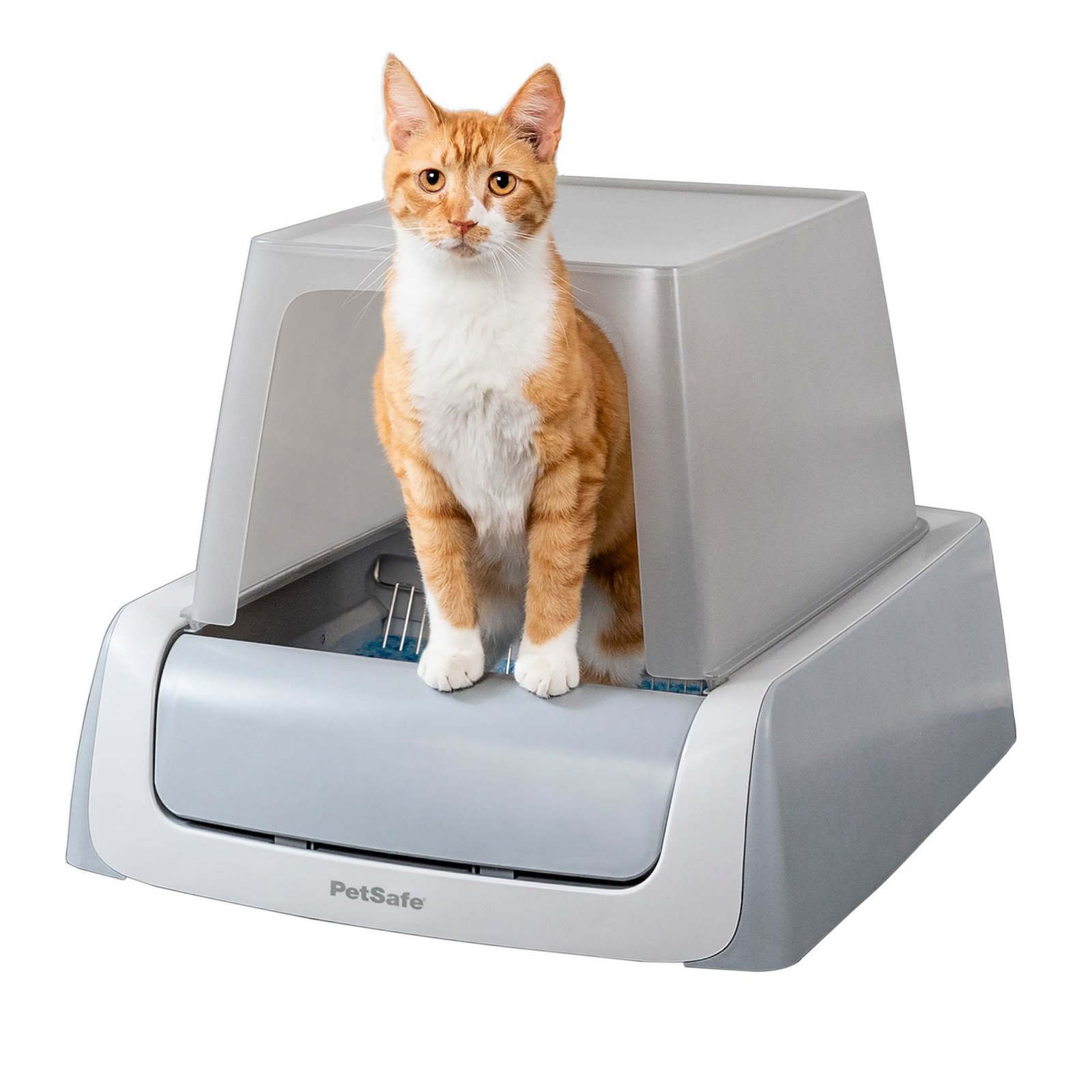 4. PetSafe ScoopFree Crystal Pro — Easiest Upkeep
