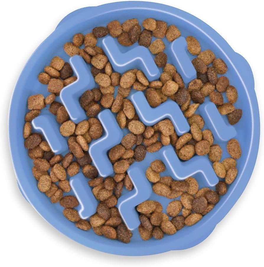 Outward Hound Fun Feeder Slo Bowl (Large) slow feeder dog bowl