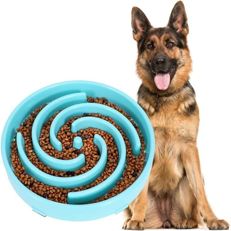 JASGOOD Spiral Slow Feeder (Large) slow feeder dog bowl
