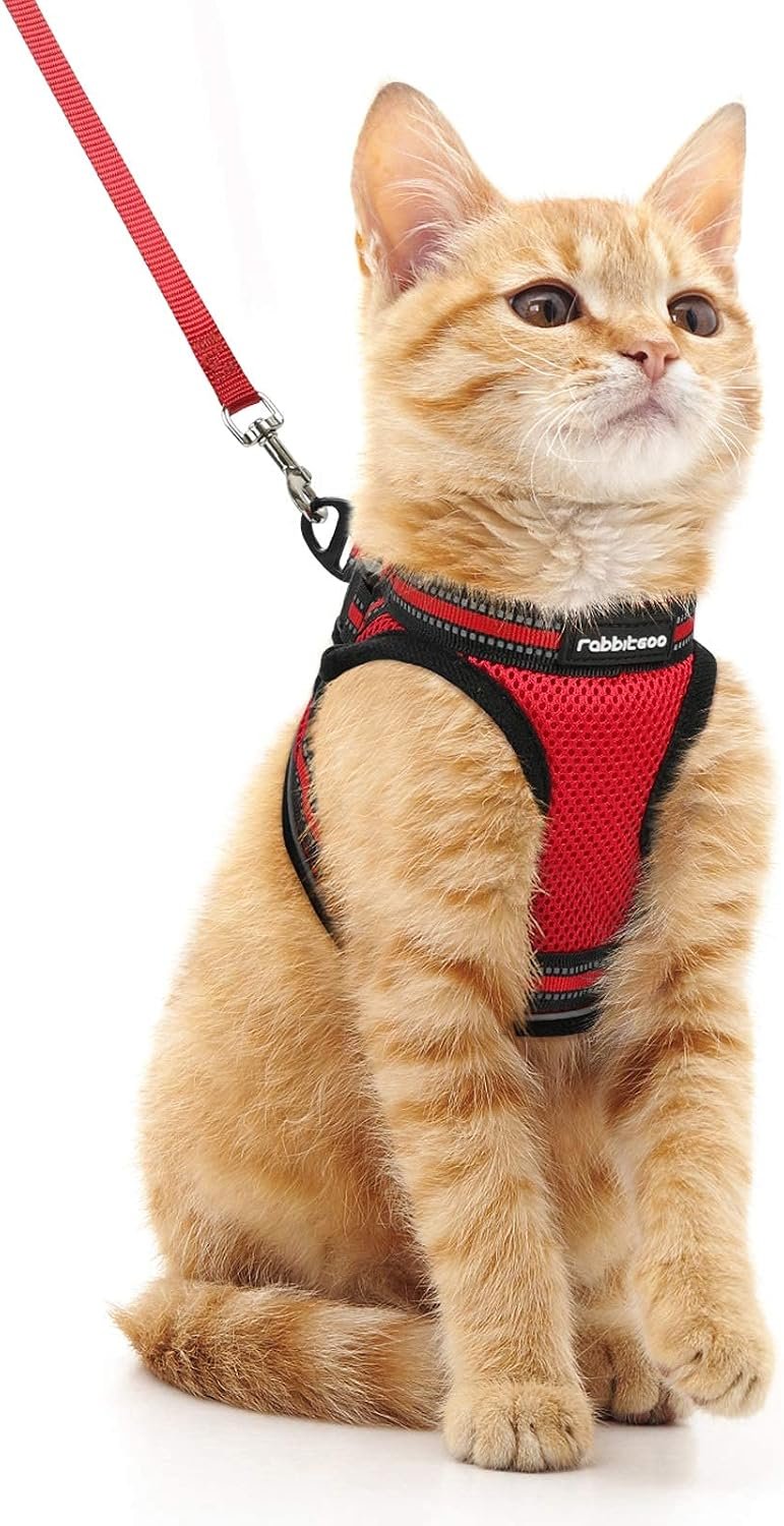 rabbitgoo Cat Harness and Leash for Walking, Escape Proof Vest, Black & Red, XS