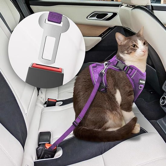 MHHYQF Escape Proof Cat Car Harness with Car Seat Belt Insert, Purple, XS