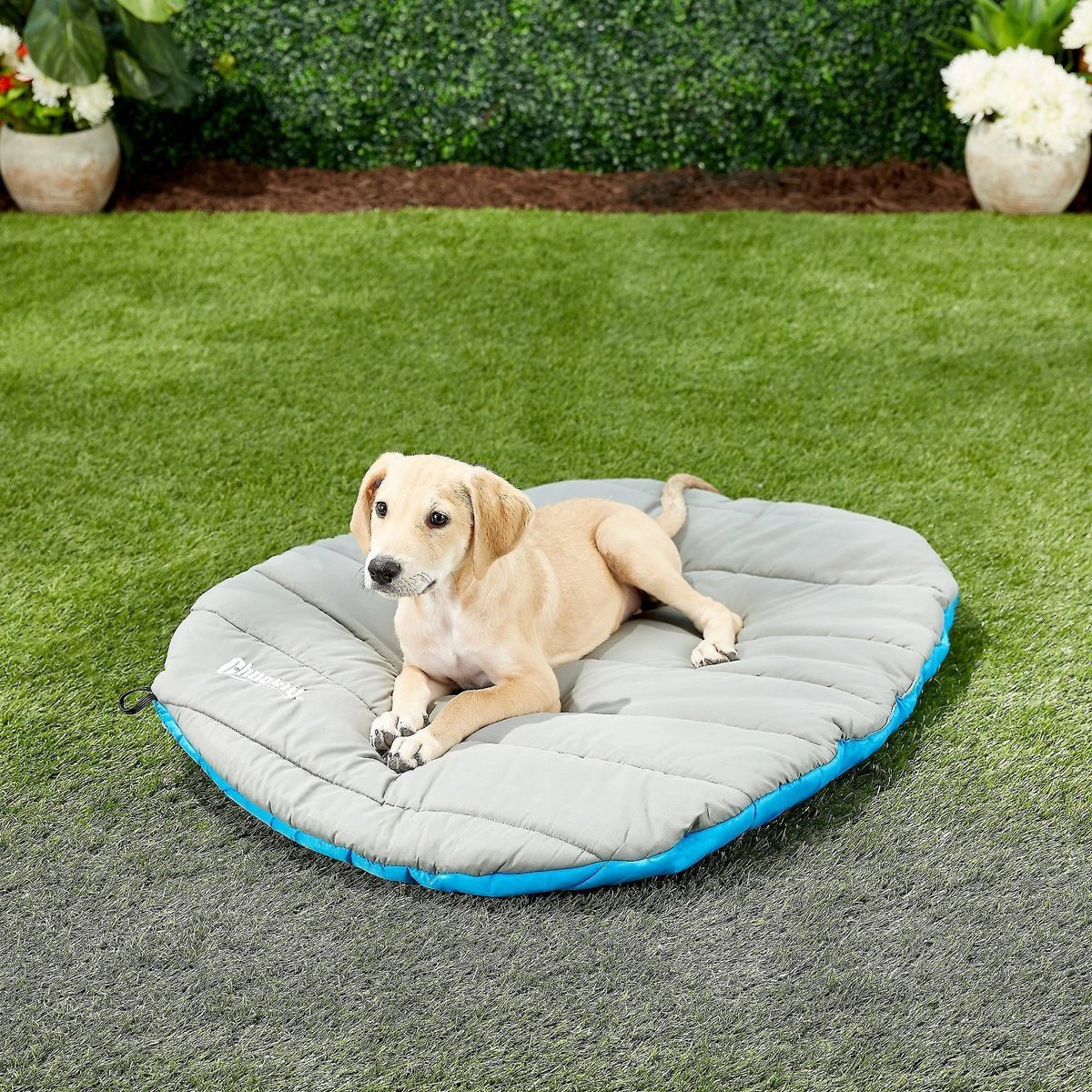 Chuckit Travel Dog Bed rolled up with its nylon stuff sack