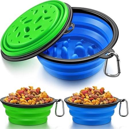 PETFROH Collapsible Slow-Feeder Bowl — Best Slow Feeder for Fast Eaters