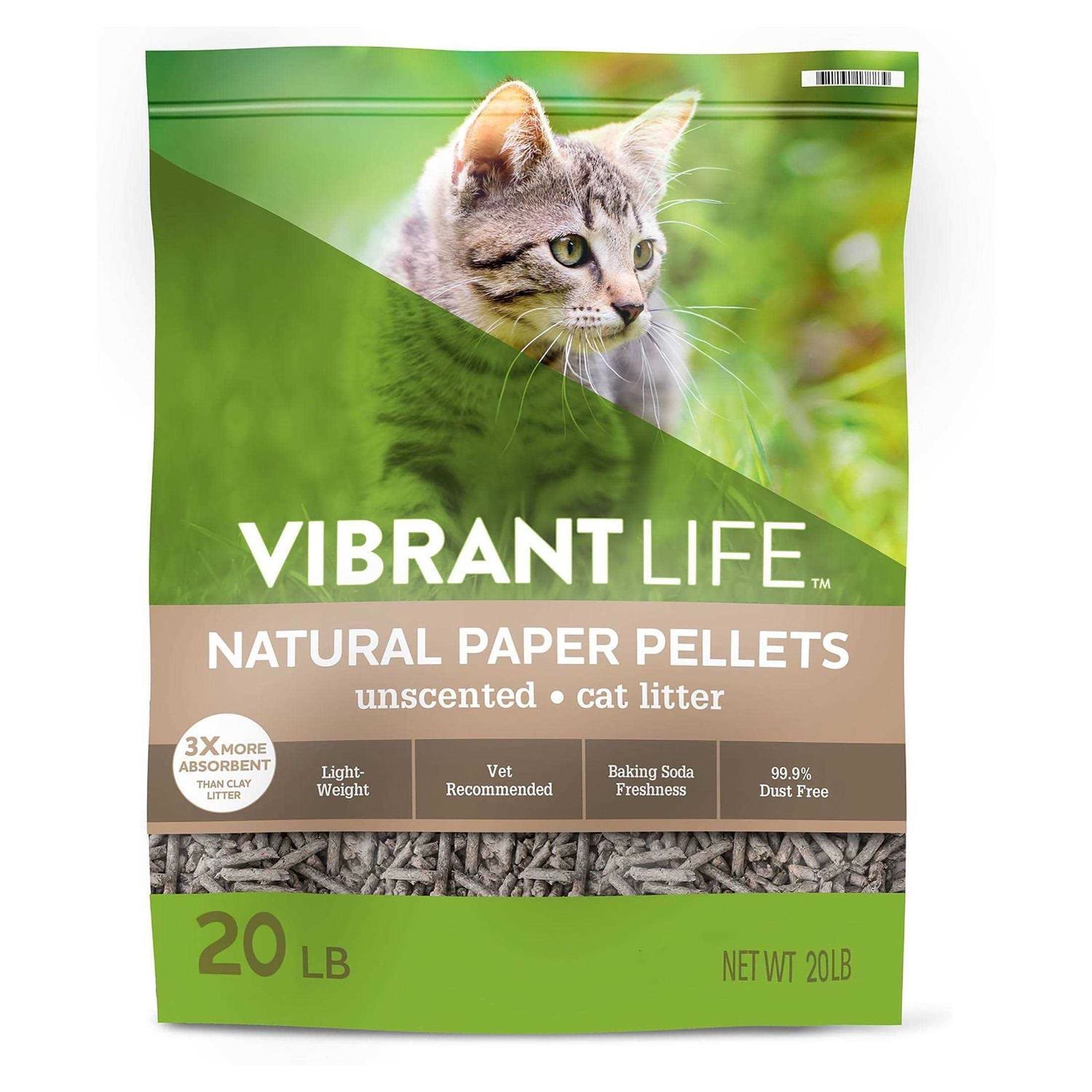 4. Paper Litter — Best for Recovery and Sensitive Cats