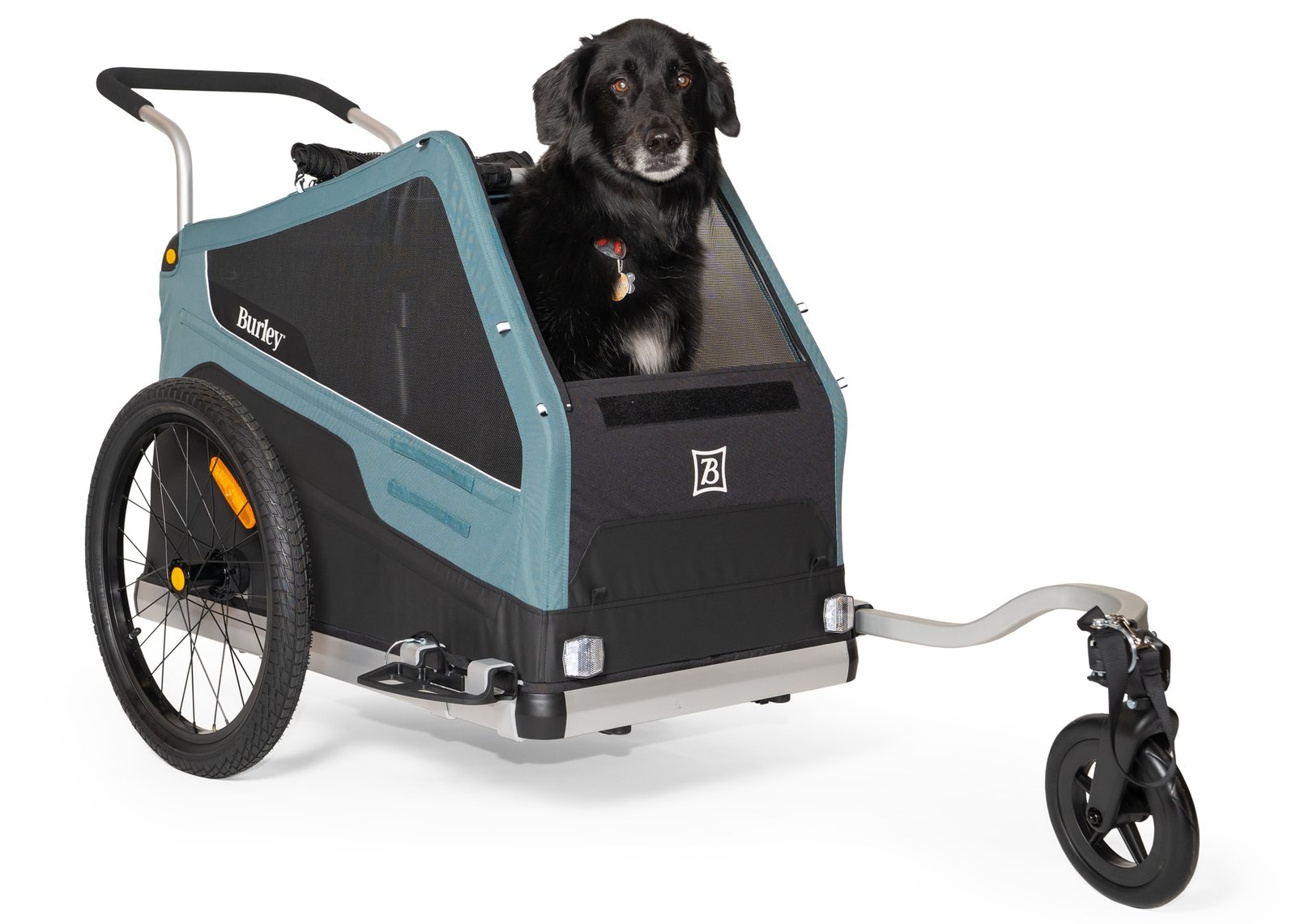 Burley Bark Ranger Pet Bike Trailer — Best Premium, Smaller Australian Shepherds