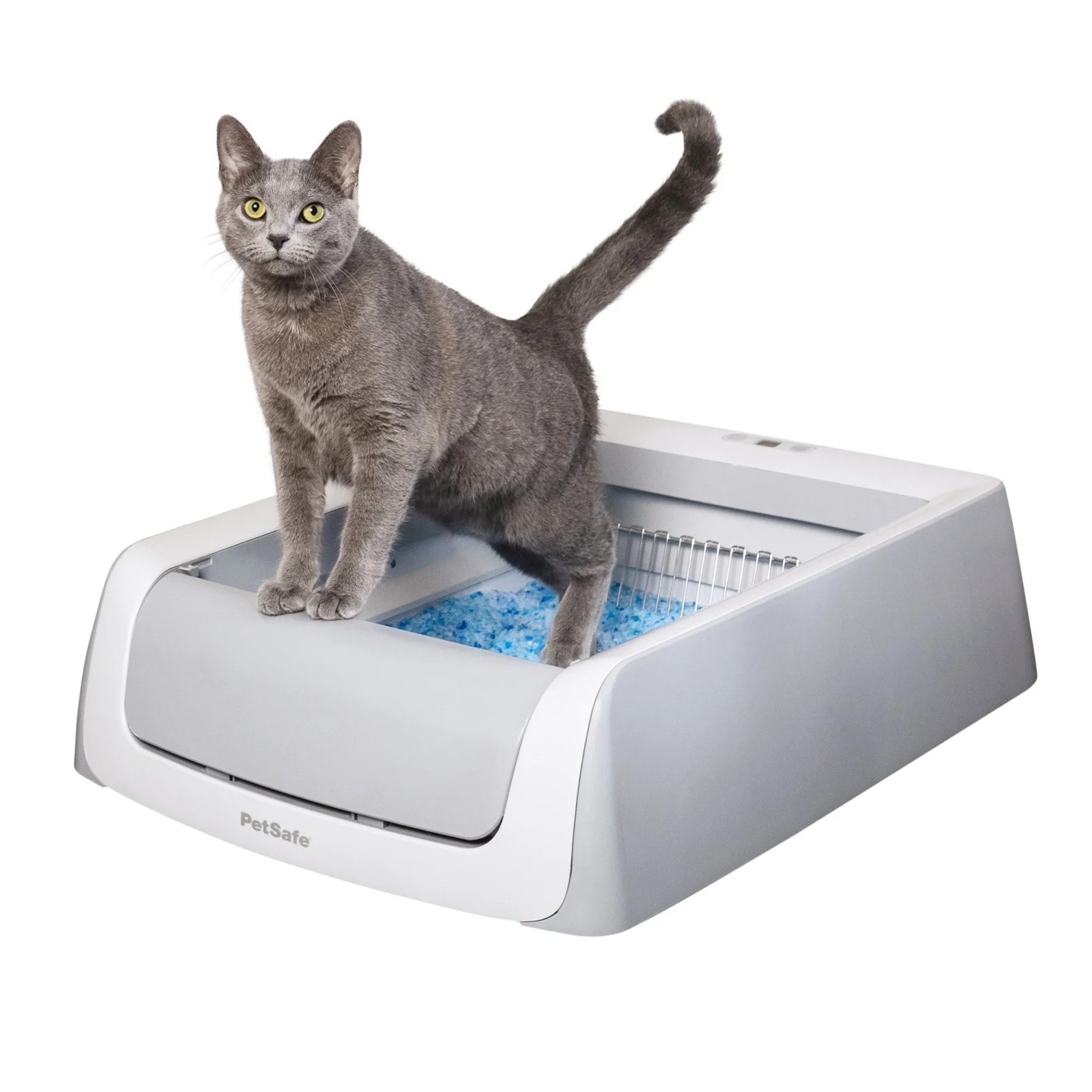 Alternative 1: PetSafe ScoopFree Crystal Pro — the no-plumbing pick