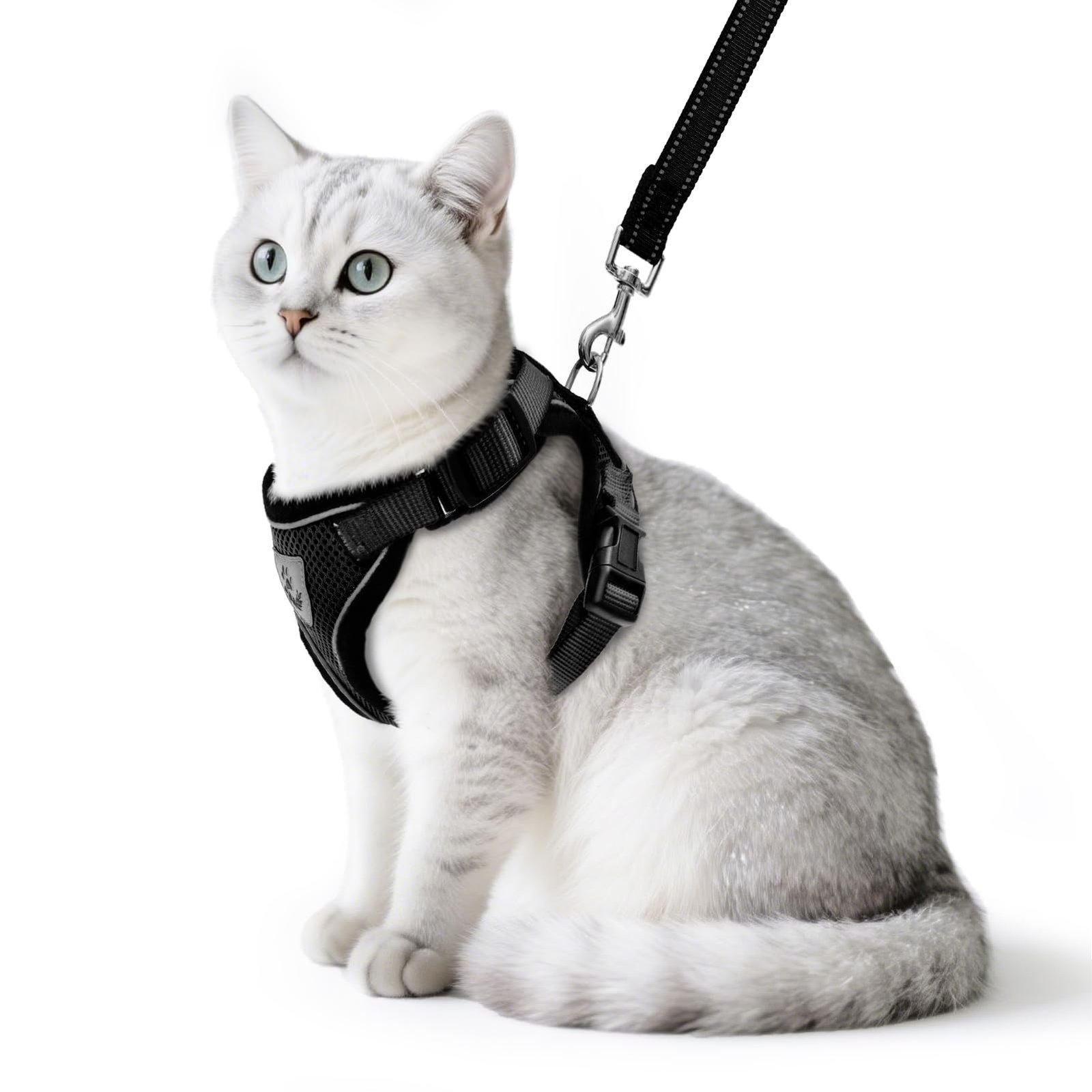 2. Pupteck Escape Proof Cat Harness & Leash — Best Adjustability
